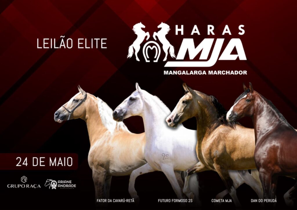 ariane andrade assessoria