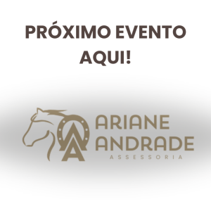 Ariane Andrade Assessoria